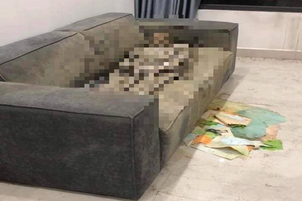 Điều tra thi thể nữ giới 'chết khô' trên sofa trong căn hộ cao cấp - ảnh 1