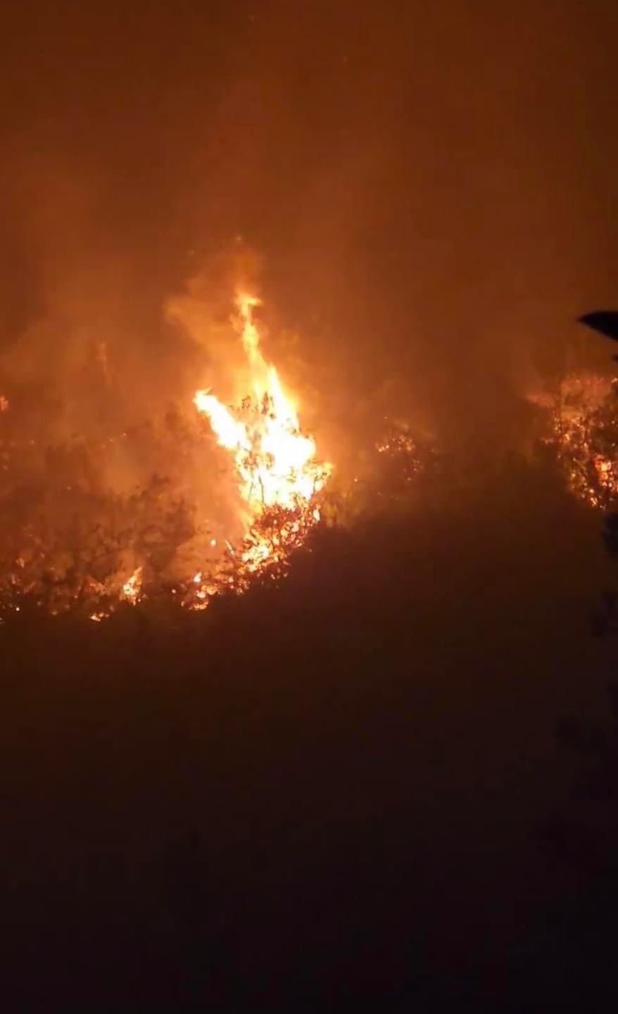 Hơn 700 người chữa cháy rừng trên đỉnh Tây Côn Lĩnh - ảnh 2