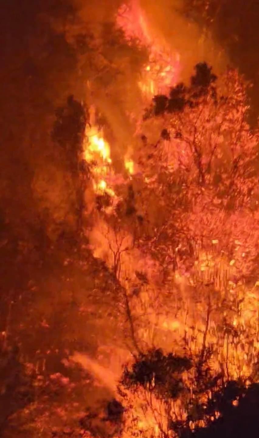 Hơn 700 người chữa cháy rừng trên đỉnh Tây Côn Lĩnh - ảnh 1