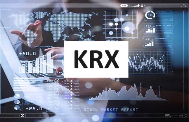 HoSE đề nghị các công ty chứng khoán dừng chuyển đổi sang hệ thống KRX - ảnh 1