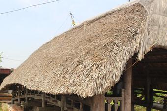 Nam Định: Ngắm cây cầu lợp lá cọ của làng Kênh có tuổi đời 700 năm đẹp nhất Việt Nam