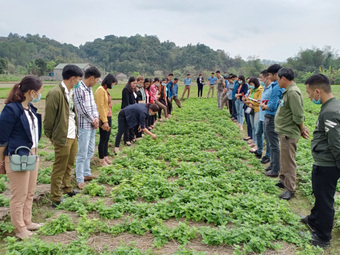 Lạng Sơn tập huấn cho nông dân quản lý và duy trì mã số vùng trồng thạch đen