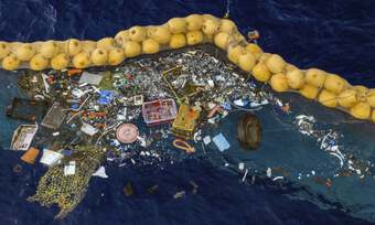Nhiều sinh vật biển lập bầy đàn, làm tổ trên rác nhựa lênh đênh giữa đại dương