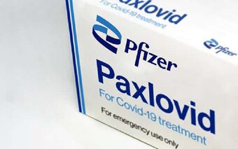 Canada phê duyệt thuốc kháng virus trị COVID-19 của hãng Pfizer