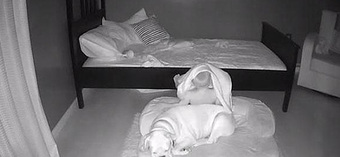 Sáng nào cũng thấy con trai ngủ trong ổ chó, bố mẹ bí mật đặt camera ngay trong phòng thì phát hiện sự thật ngã ngửa