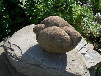 Viên đá ở ngôi làng có thể lớn dần lên và di chuyển được