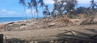Đảo quốc Tonga đã liên lạc được với thế giới qua điện thoại, báo động thiếu nước uống