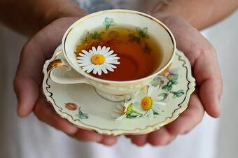 Trò thâm hiểm của con dâu sau cốc trà hoa cúc biếu bố mẹ chồng