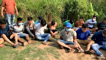 Hàng chục người trong sới gà ở quận Bình Tân bỏ chạy khi bị công an vây