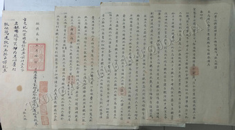 Châu bản triều Nguyễn còn ghi chuyện 2 cha dượng đánh chết con riêng của vợ bị xử tội chết