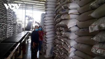 Hiệp định EVFTA mở ra cơ hội lớn chưa từng có cho gạo Việt