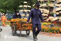 Ảnh: Cận cảnh những chú hổ đầy khí chất trên đường hoa Nguyễn Huệ Tết Nhâm Dần 2022