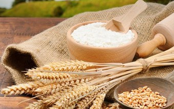 Argentina trở thành nước đầu tiên cấp phép trồng lúa mì biến đổi gene