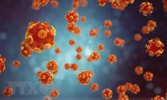 Indonesia: Các bệnh nhi mắc viêm gan bí ẩn đều âm tính với COVID-19