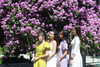 Du khách ngất ngây trước cây bằng lăng "đẹp nhất Việt Nam"