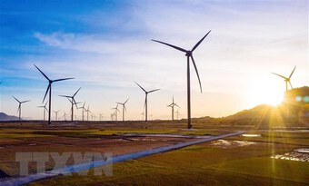 Tây Ban Nha cam kết cùng Việt Nam phát triển năng lượng tái tạo
