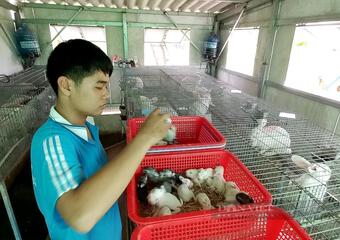 Một “nông dân nhí” ở Long An, 14 tuổi, đi học thú y, nuôi thỏ công nghiệp, tiền lời dùng vào việc này đây
