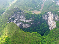 Phát hiện rừng cổ thụ dưới hố sụt ở Trung Quốc