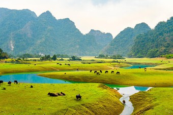 Ngẩn ngơ trước cảnh "non nước hữu tình" của thảo nguyên Đồng Lâm ở Lạng Sơn