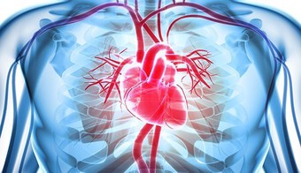 Biến thể Omicron không ảnh hưởng đến sức khỏe tim mạch