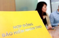Vietnam Report công bố Top 10 Công ty bảo hiểm uy tín năm 2022