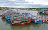 Tránh bão số 2, Quảng Ninh tạm dừng cấp phép cho tàu, thuyền ra khơi