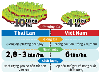 Việt Nam thua Thái Lan về giống nông sản?
