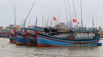 Các tỉnh thành từ Quảng Ninh đến Bình Thuận chủ động ứng phó với bão