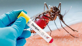 Khi nào nên test nhanh phát hiện sốt xuất huyết?