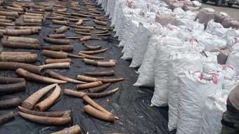 3 người Việt bị buộc tội buôn lậu ngà voi, vảy tê tê ở Nigeria
