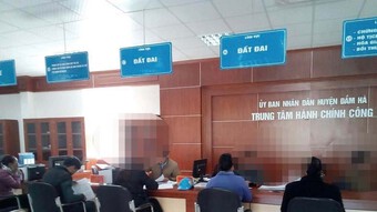 Quảng Ninh: Phó Giám đốc Trung tâm hành chính công huyện Đầm Hà bị đình chỉ công tác