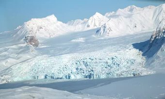 Bắc Cực ấm lên gấp khoảng 4 lần tốc độ trung bình toàn cầu trong 43 năm qua