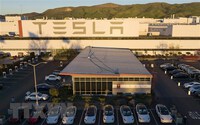 Lượng đơn giao hàng trong quý 3 của Tesla thấp hơn dự kiến