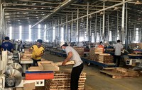 Kim ngạch xuất khẩu của Việt Nam sang Australia tăng 42%