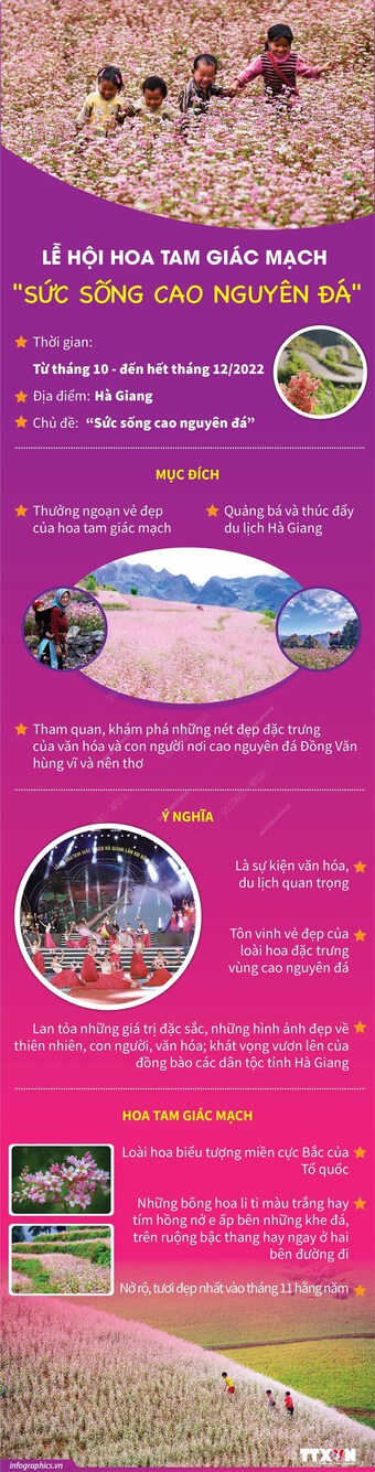 [Infographics] Lễ hội hoa Tam giác mạch "Sức sống cao nguyên đá"