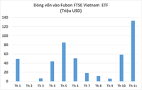 Điều gì khiến Fubon ETF "bơm" hàng nghìn tỷ mua cổ phiếu Việt Nam?