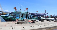 Đến tháng 12/2023, các dự án nâng cấp cảng cá tại Quảng Trị phải về đích