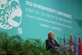 LHQ kêu gọi thỏa thuận bảo vệ đa dạng sinh học