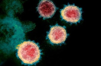 Mở rộng giải trình tự gene với virus gây bệnh hô hấp ngoài COVID-19