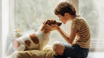 Khi trẻ em hành hạ động vật: Biểu hiện tâm lý cần quan tâm nhưng đa phần bị phụ huynh bỏ qua
