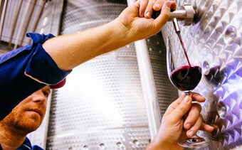 Xuất khẩu rượu vang của Nam Phi sụt giảm trong năm 2022