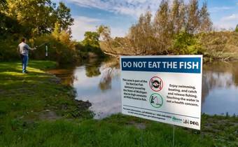 Mỹ: Nghiên cứu mới cảnh báo ăn cá trong sông hồ nước ngọt bị ô nhiễm tương đương với việc uống thuốc độc trong một tháng