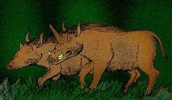 Kubanochoerus gigas: Loài lợn cổ xưa có sừng giống như kỳ lân trong thần thoại