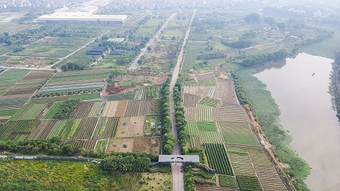 Chỉ đạo mới nhất đối với 64 dự án ôm đất bỏ hoang tại Mê Linh