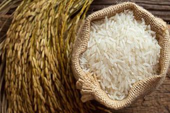 Tin vui: Giá gạo xuất khẩu Việt Nam cao nhất thế giới