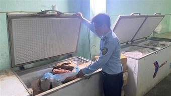 Phú Yên tạm giữ gần 600kg thịt động vật không rõ nguồn gốc, xuất xứ
