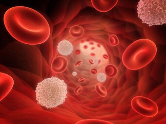 Nghiên cứu mới của Mỹ về bệnh giảm bạch cầu lympho CD4 vô căn