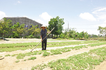Quảng Nam rà soát lại việc mua bán nợ tại Dự án Khu đô thị số 11