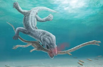 Phát hiện mới về nguyên nhân tuyệt chủng của "quái vật'' biển cổ dài