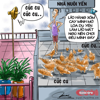 ‘Táo bạo’ khắc chế nhà nuôi chim yến trong đô thị